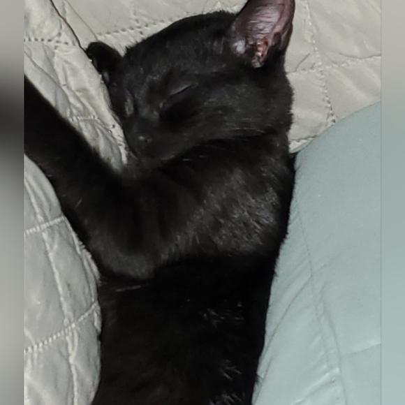 Bundle & Save.. - Picture 5 of 15